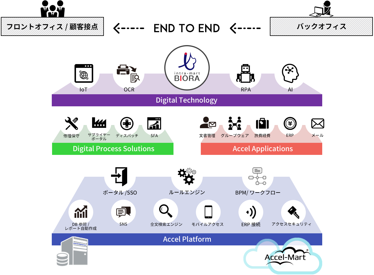 BIORA図版